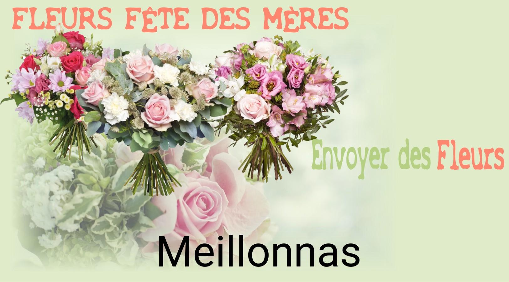 Bouquet de Fête des Mères livré à Meillonnas